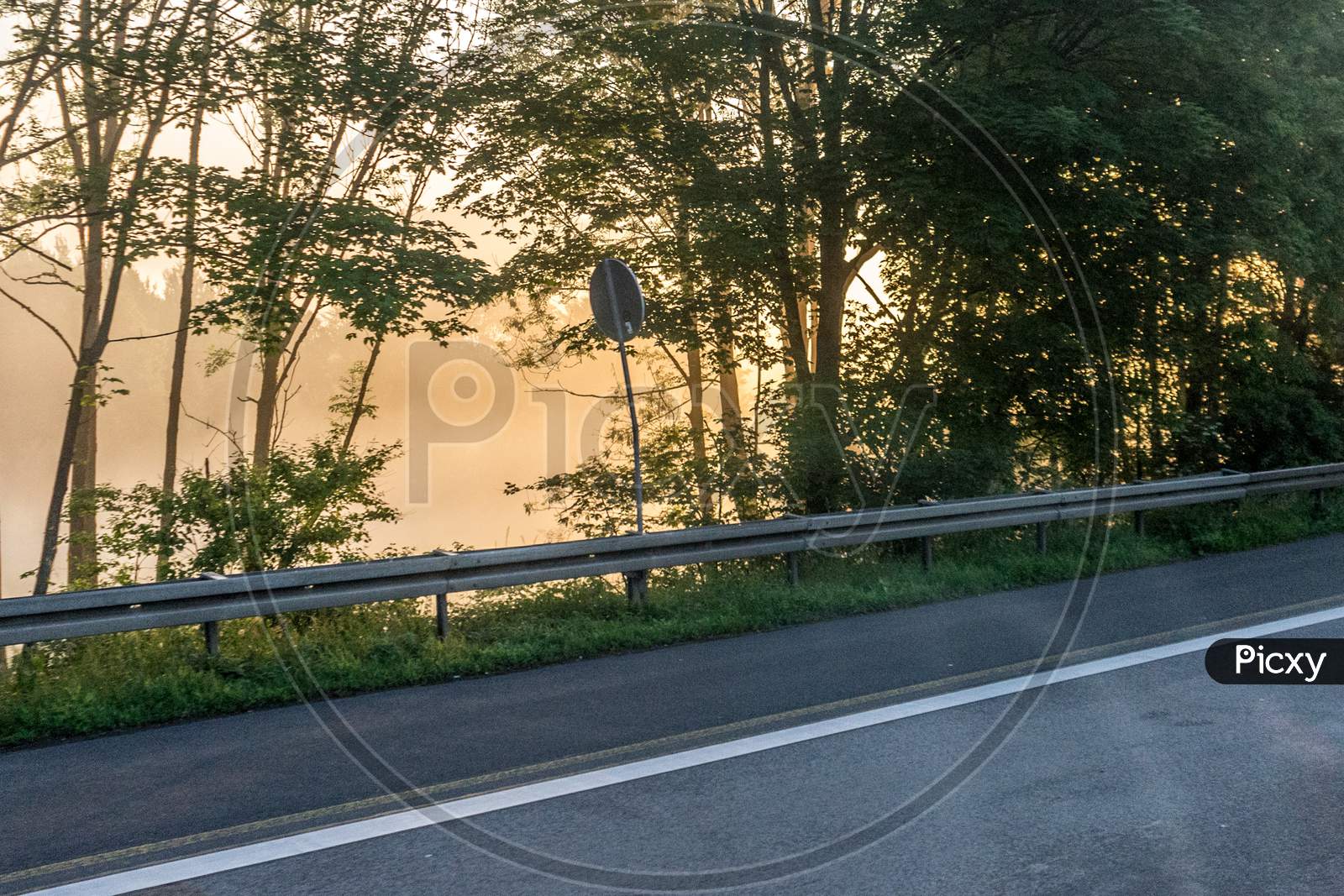 Germany, Frankfurt, Sunrise, An Empty Road With Trees On The Side Of The Street