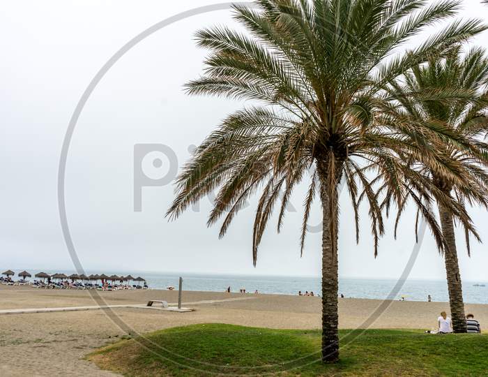 Tall Twin Palm Trees Along The Malaguera Beach With Ocean In The Background In Malaga, Spain, Europe