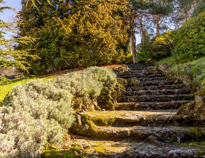 Italy, Bellagio, Lake Como, Steps Amidst Trees In Forest