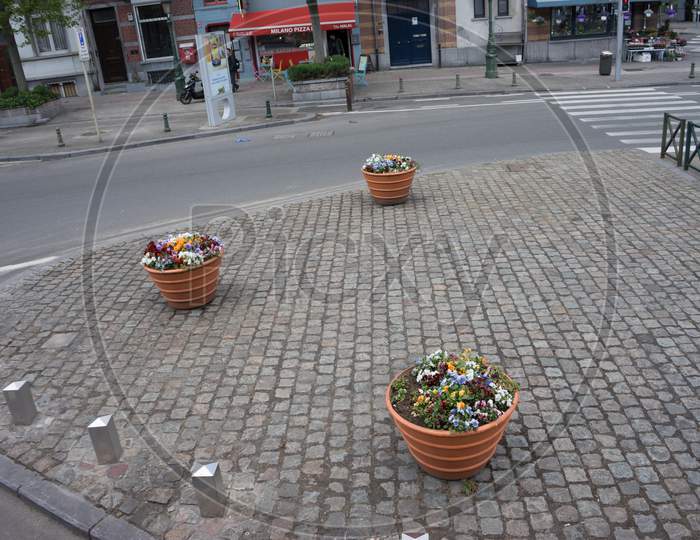 Brussels, Belgium - 17 April 2017: Flowers Grown On A Basket On Streets Of Brussels, Belgium