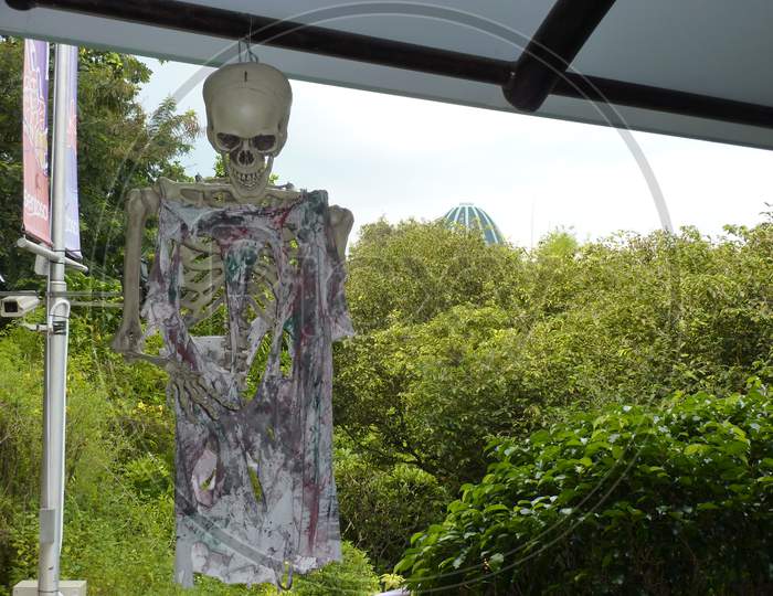 Skeletons in Sentosa, Singapore