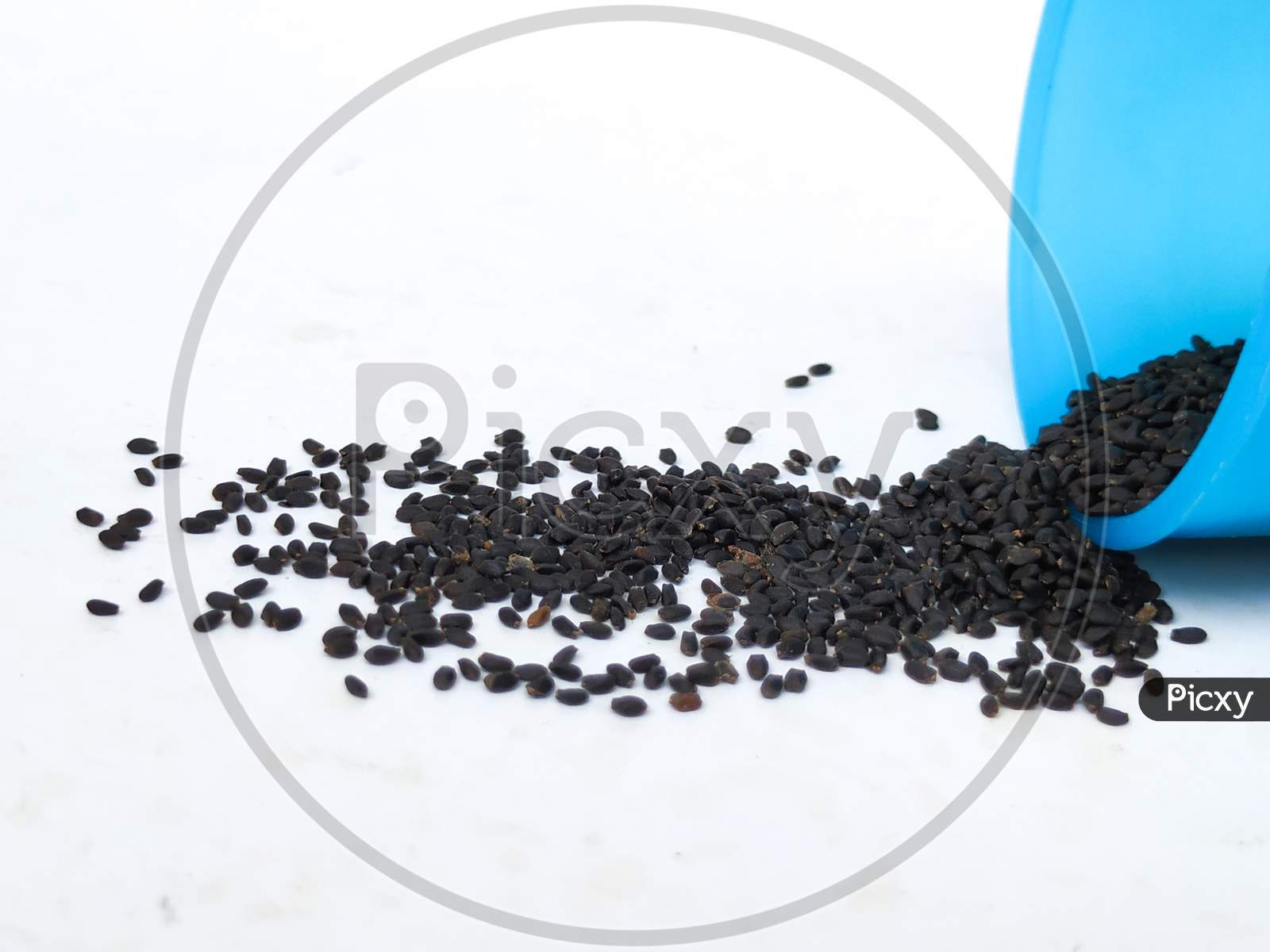 Chia Seeds or Kama Kasturi Seed Scattered from Blue Color Plastic Container isolated on White Background.