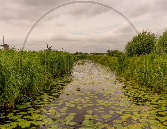 Netherlands, Rotterdam, A Close Up Of A Pond