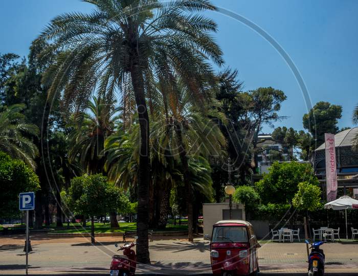 Cordoba, Spain - June 20 : A Tall Palm Tree And A Scooter In The City Of Cordoba On June 20,
