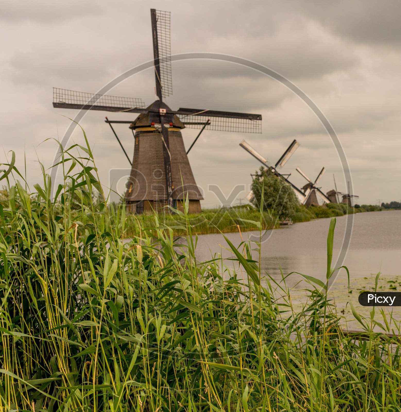 Netherlands, Rotterdam, Kinderdijk, Heritage Windmill Above Lush Green Grass Along A Canal