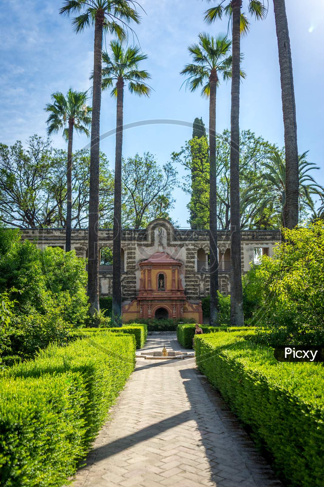 Tall Palm Trees In The Alcazar Garden In Seville, Spain, Europe