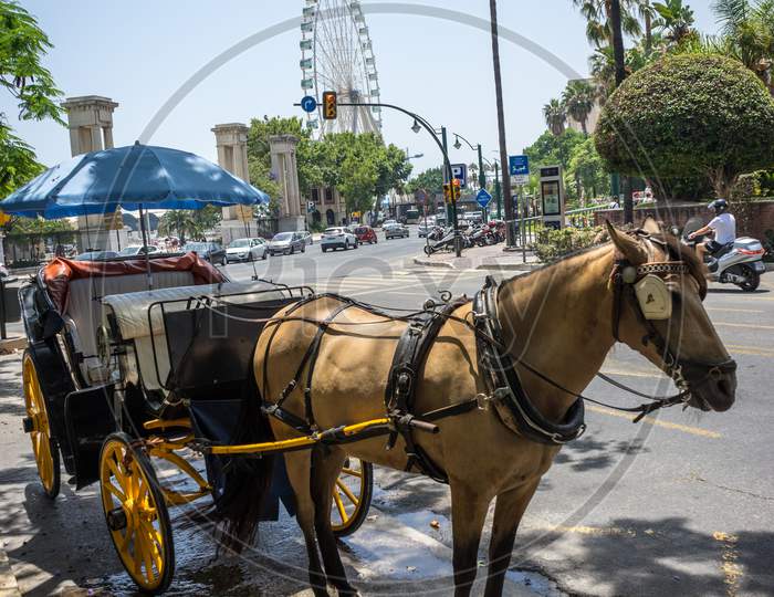 A Horse Drawn Carriage In Front Of A Giant Wheel At Malaga, Spain, Europe