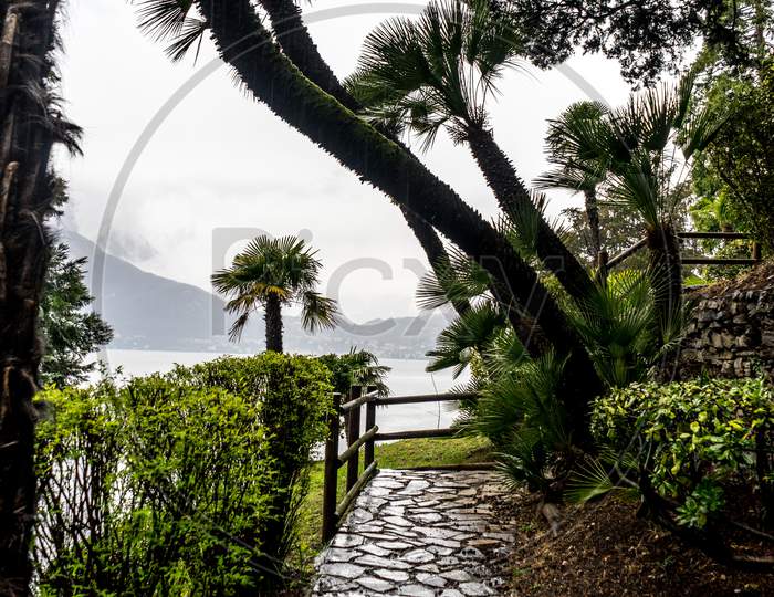 Italy, Varenna, Lake Como, Footpath Amidst Palm Trees Against Sky