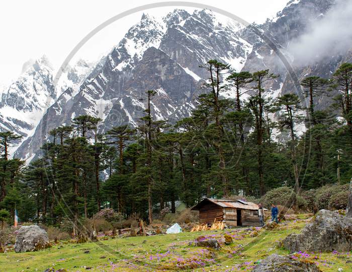 Mountain cover by Snow A Beautiful landscape of mountain forest range in Eastern Himalaya North Sikkim India near Yumthang Valley