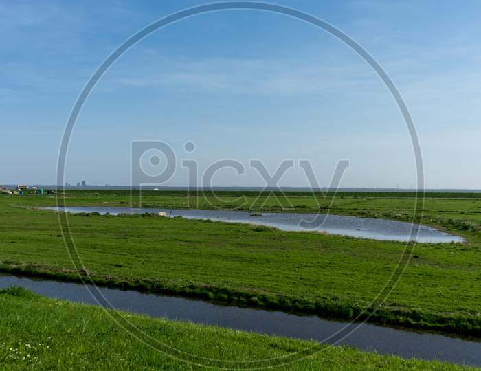 Netherlands,Wetlands,Maarken, A Close Up Of A Lush Green Field