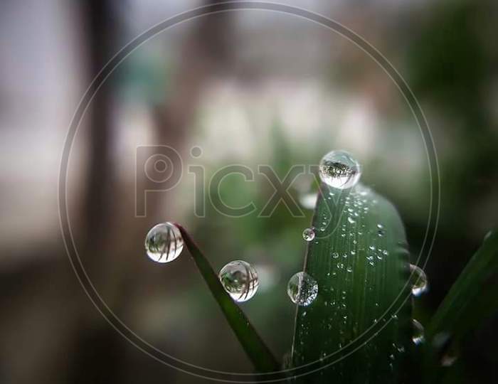 Macro water drop photo