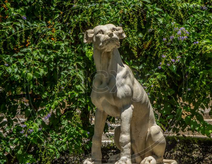 Seville, Spain- June 18, 2017 : A Statue Of A Dog Is Displayed In A Park In Seville, Spain June 2017.