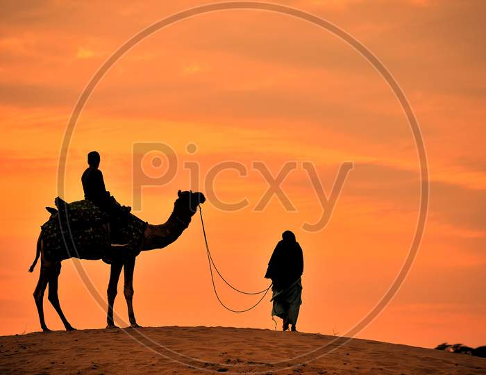 Silhouette of camel and camel rider in Thar Desert of Jaisalmer during sunset.