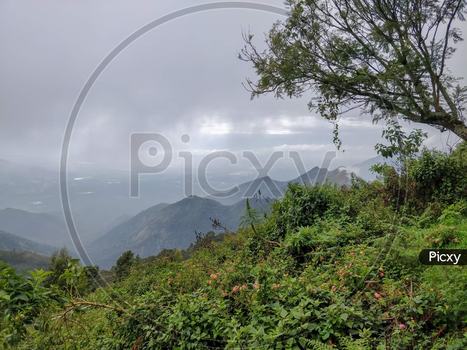 coakers-walk-kodaikanal-tamil-nadu-tourism-2021-hill-how-to-reach