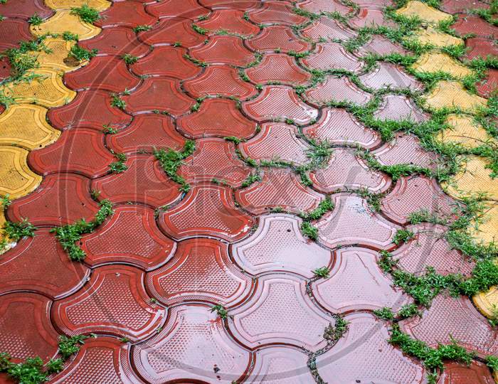 Wet Pathway During Rainy Season. Grass Growing Through Tiles.