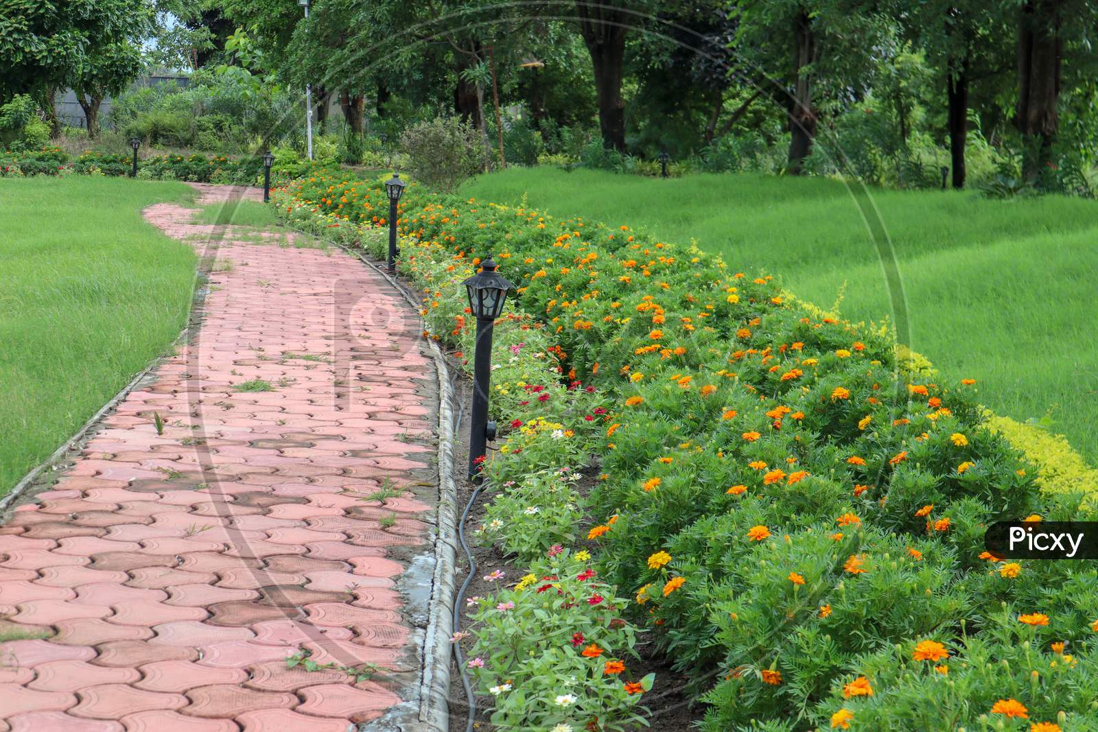 Beautiful Walkway In A Park With Colorful Flowers.
