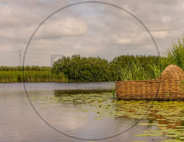 Netherlands, Rotterdam, Hay Basket On A Pond
