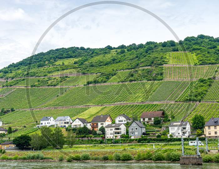 Germany, Rhine Romantic Cruise, A Group Of People Standing On A Lush Green Field