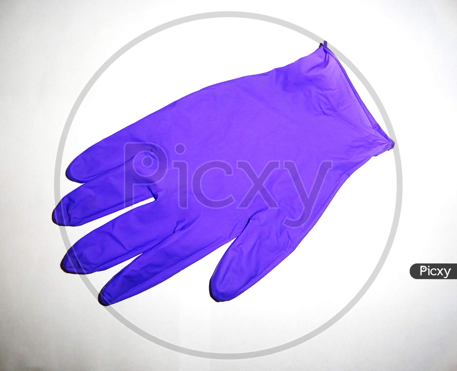 Purple color surgical glove isolated on white background