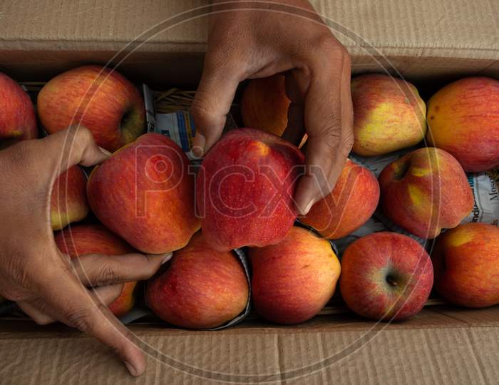 Fresh Apples For Sale In A Box