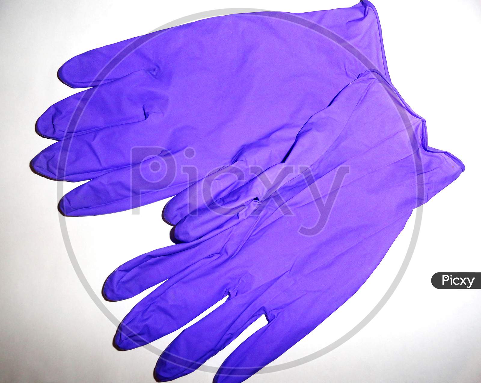 Purple color surgical gloves on white background