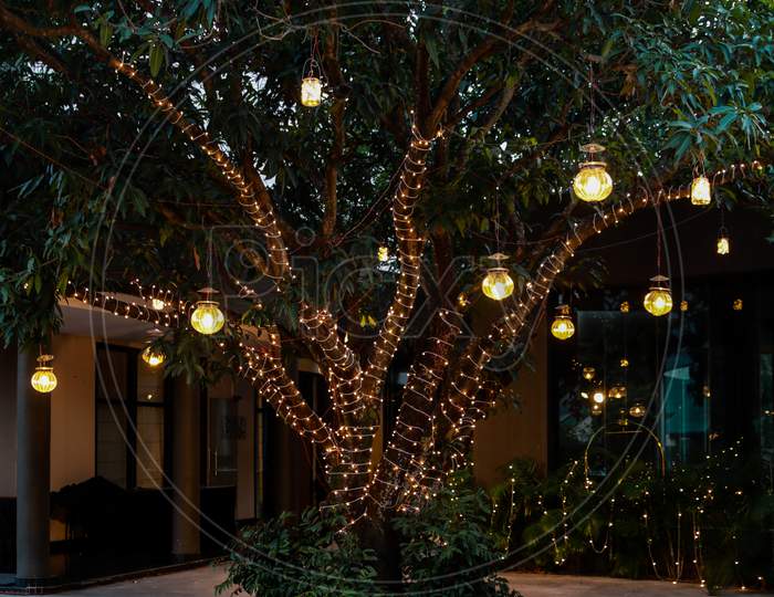 Tree Lighting With Led Strings And Lanterns