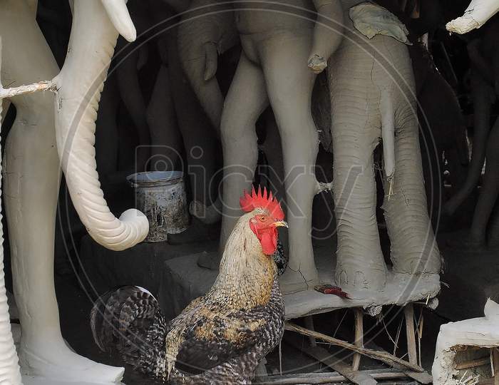 The Cock in a clay idol making studio.