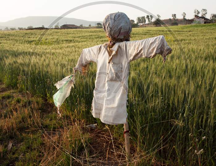 The Scarecrow In An Indian Field