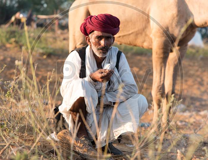 A camel herder in Pushkar