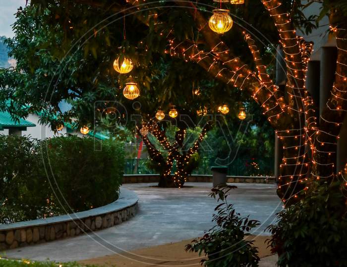 Tree Lighting With Led Strings And Lantern Lighting
