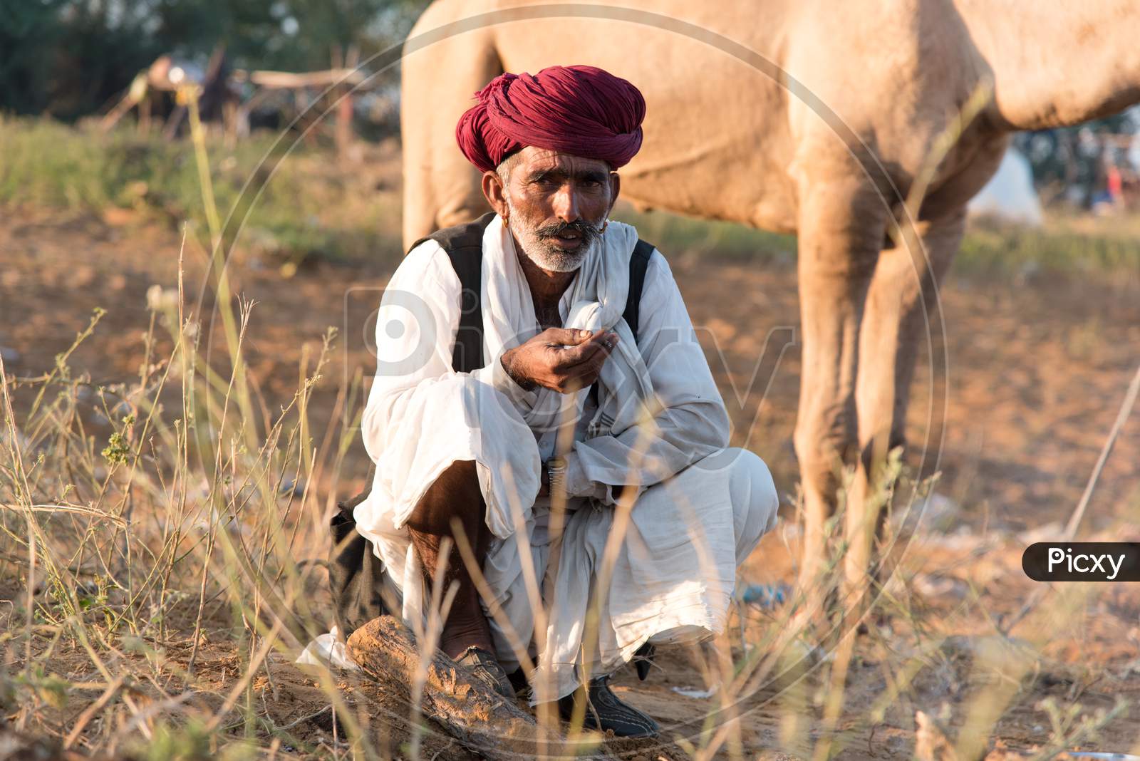 A camel herder in Pushkar