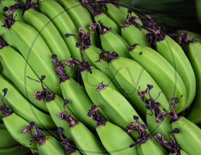 Raw banana fruit bunch - green color
