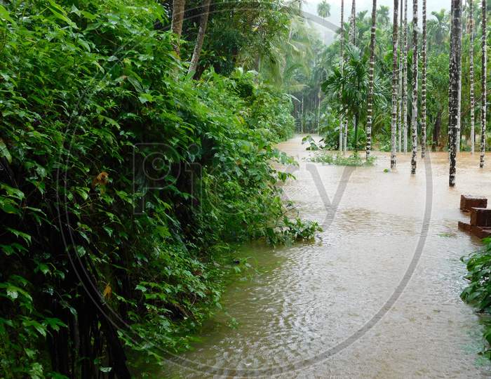 A garden submerged in floodwaters in Kerala