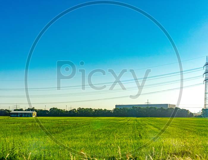 Germany, Heritage Site Mainz, A Close Up Of A Lush Green Field