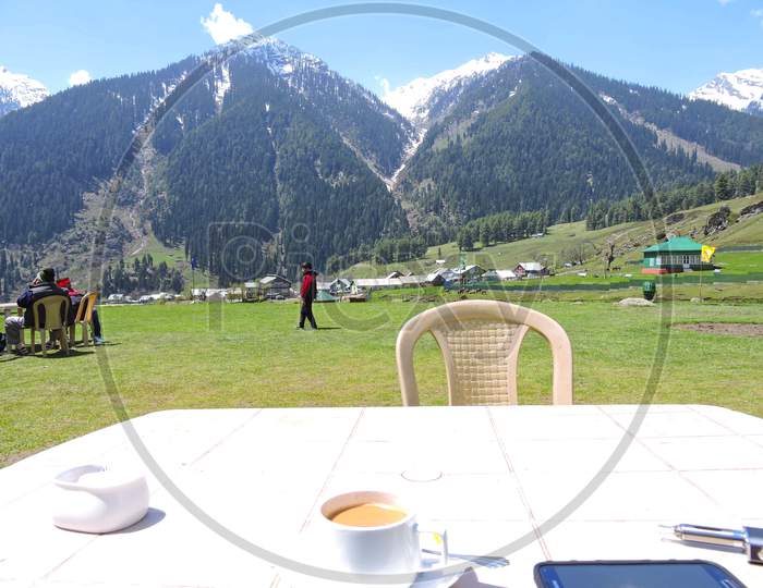 mountain view at tea time in kashmir ,india