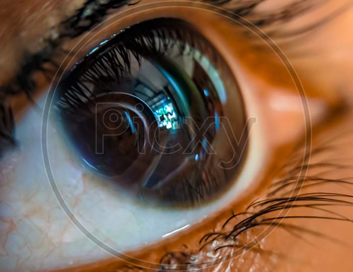 Eye macro photography