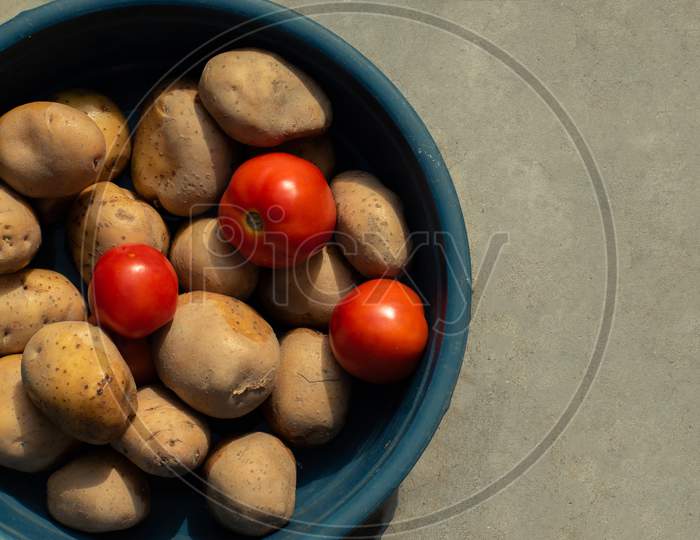 Vegetable in a bucket with a plain background.