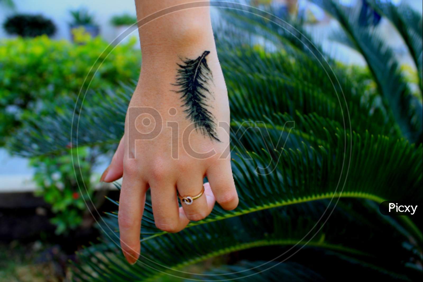 100 Best Feather Tattoo Designs with Images  Feather tattoo design Feather  tattoos Feather tattoo meaning