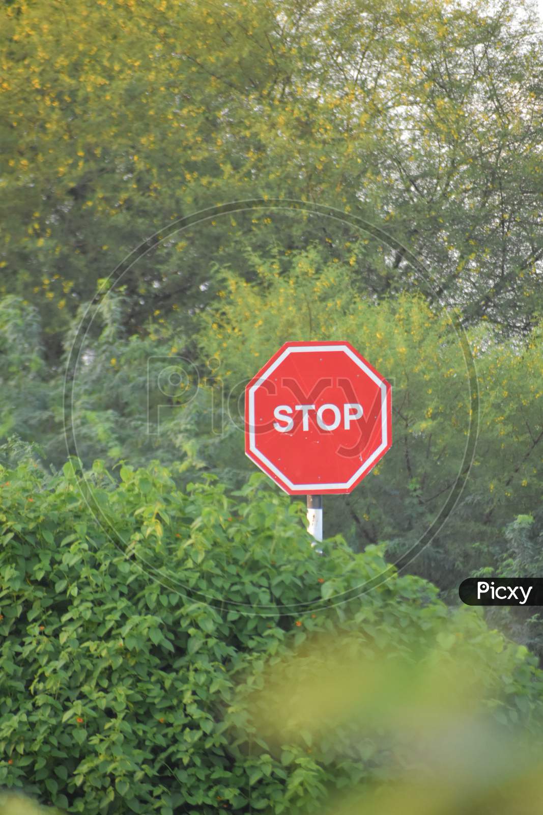 Stop sign , stop traffic sign