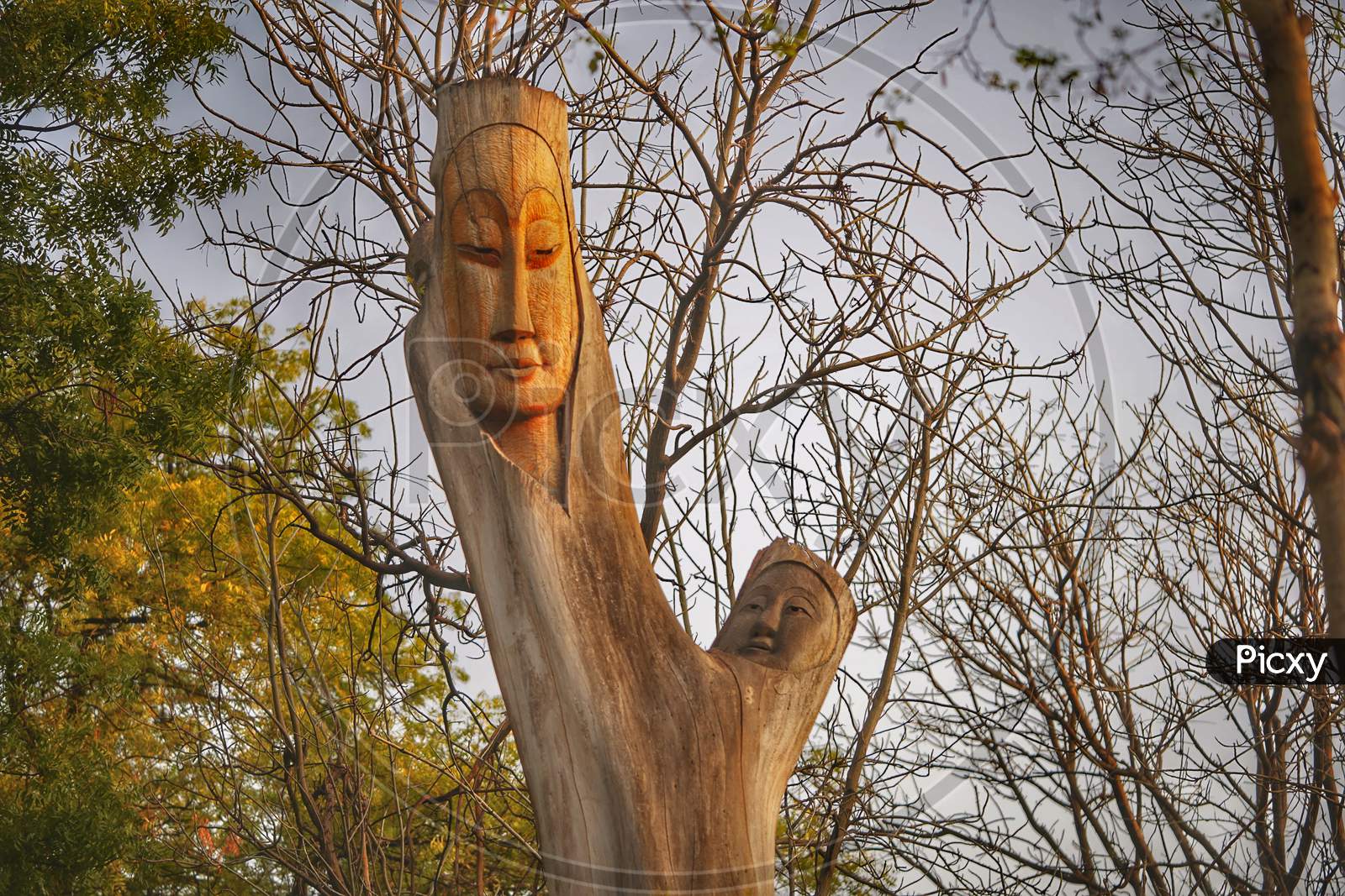 Wood carving on a tree