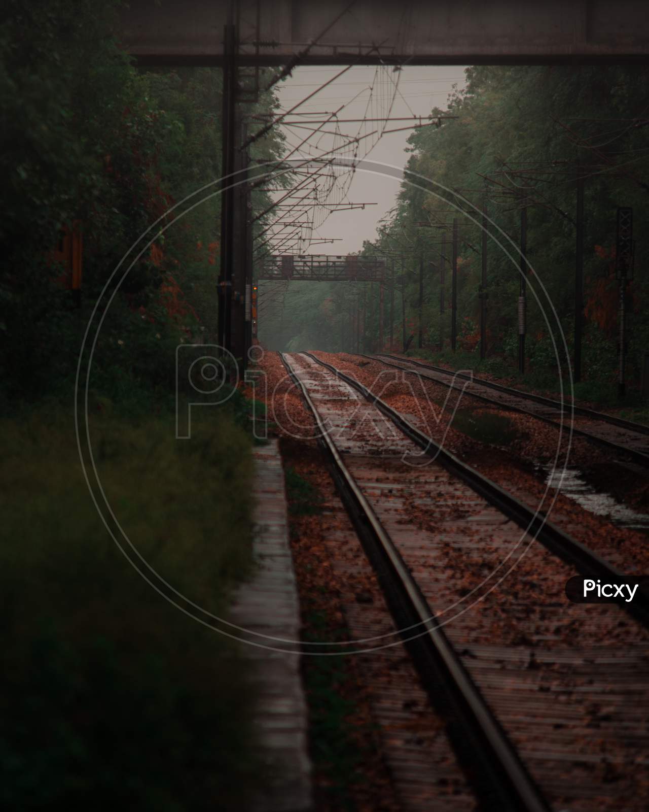 Empty railway track
