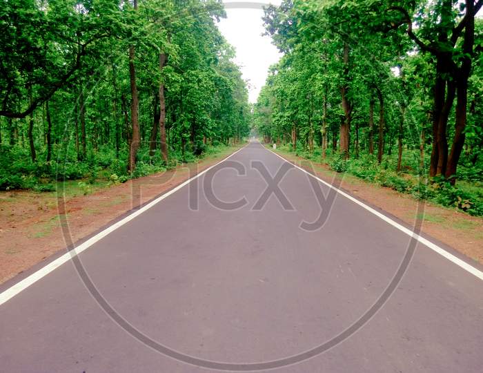 The nature of beauty, The forest road, The beauty of village, The point of peace