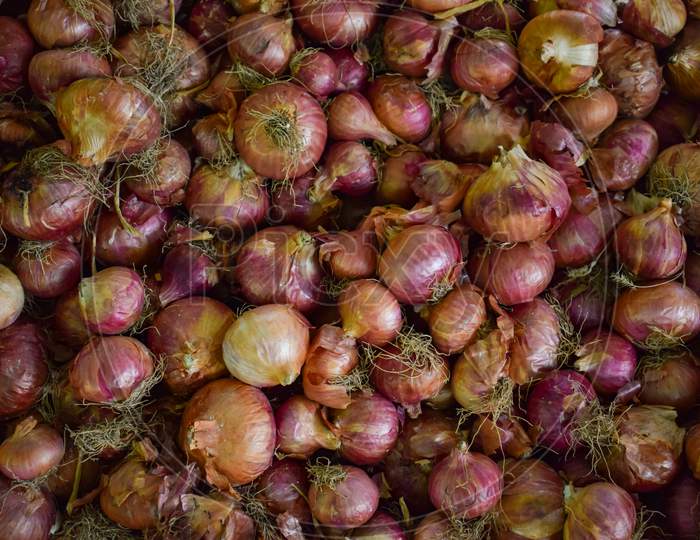A heap of onions in the farm