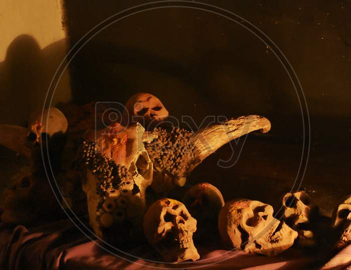 Animalskull with  clay human skull composition  photography