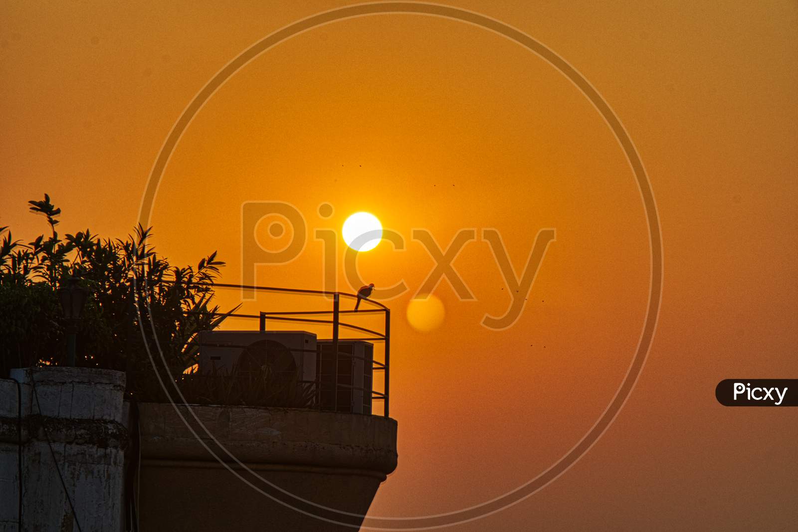 Kolkata Sunrise