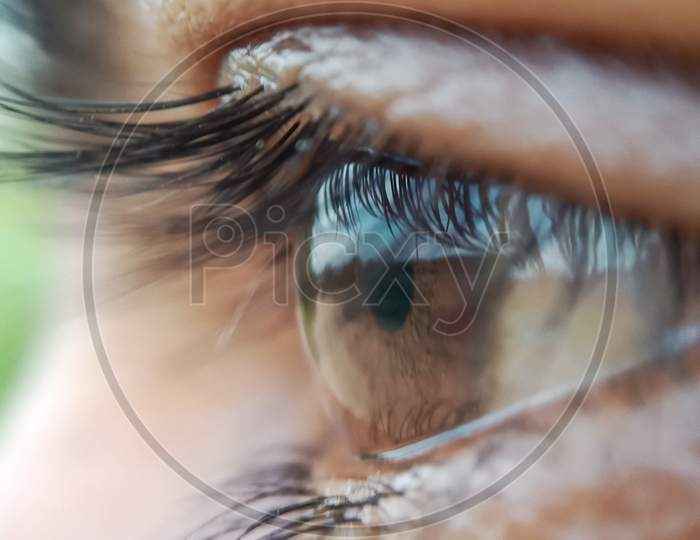 Eye's macro photography