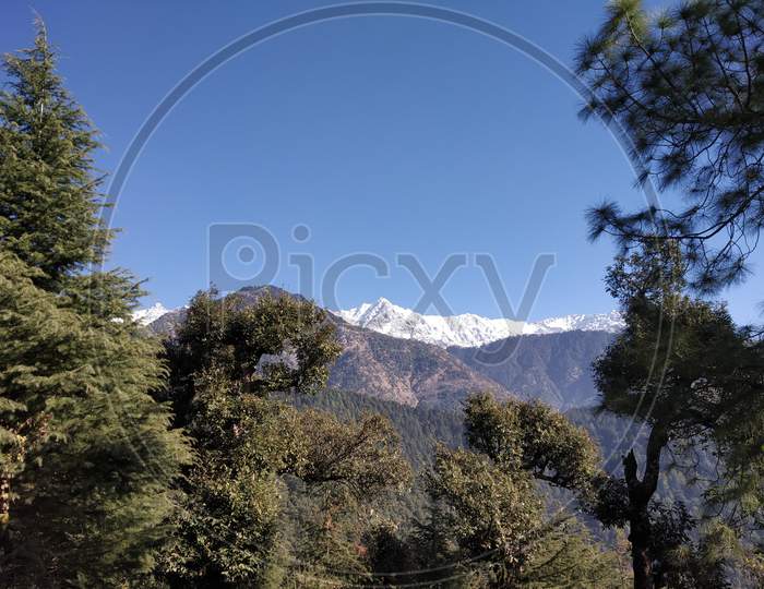 Dharamshala Himalayan rang