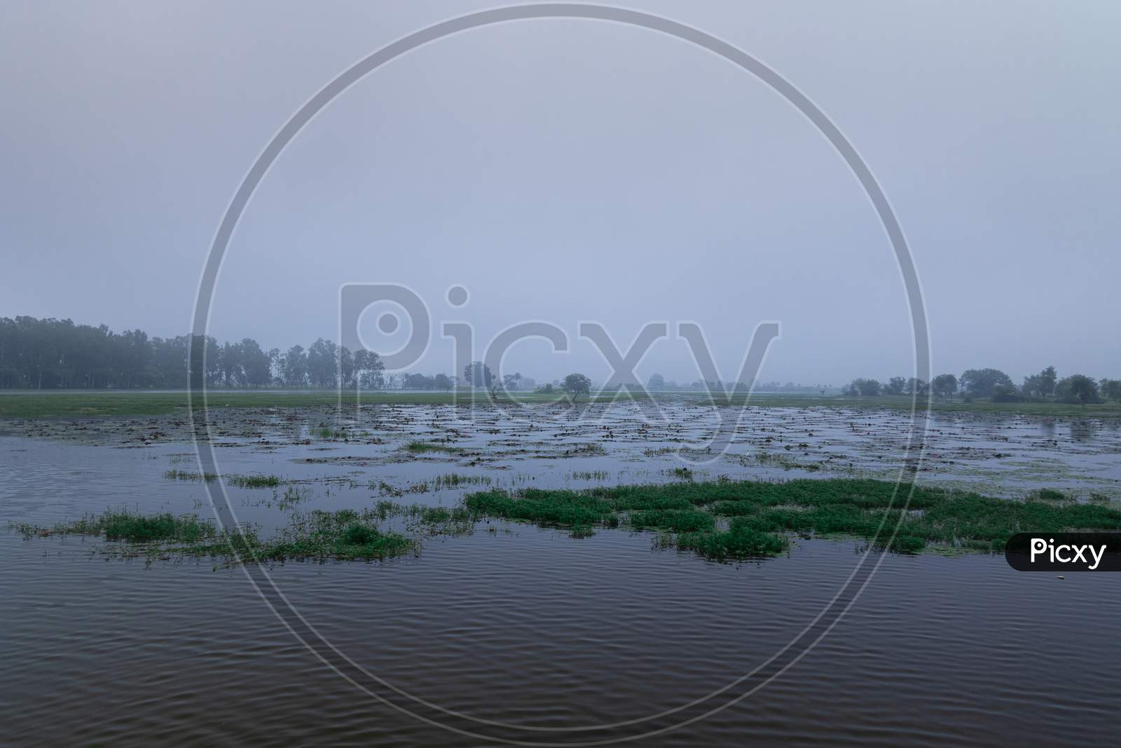 Lotus Valley, Waterbody, River , Misty River