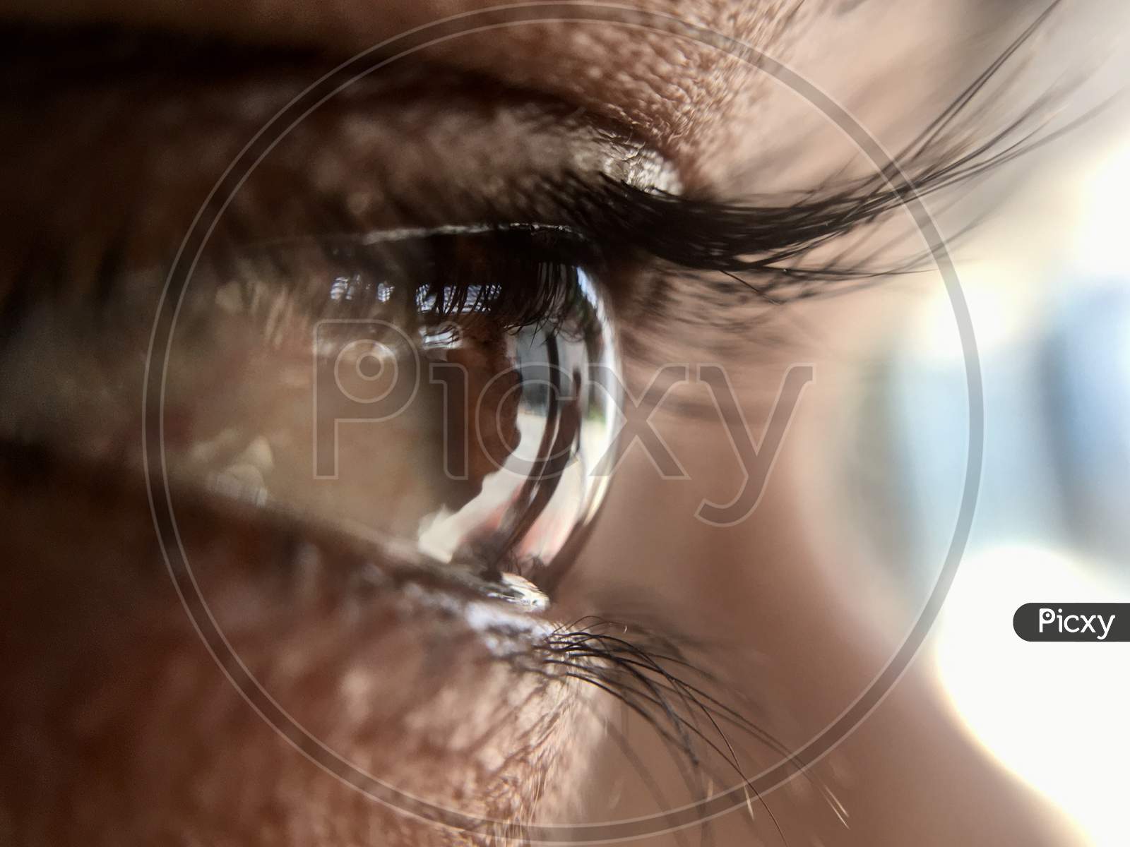 Human Eye, macro shot