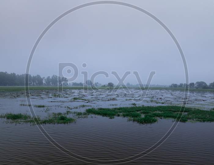 Lotus Valley, Waterbody, River , Misty River